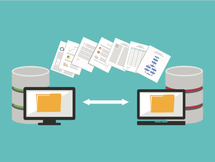 Migrate Your WordPress Site